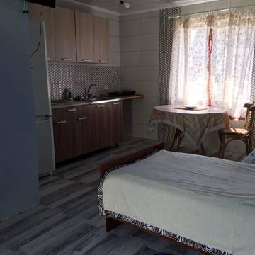 Фото номера Двухместный номер с 2 отдельными кроватями Гостевой дом Tsarikova House г. Loyew 19